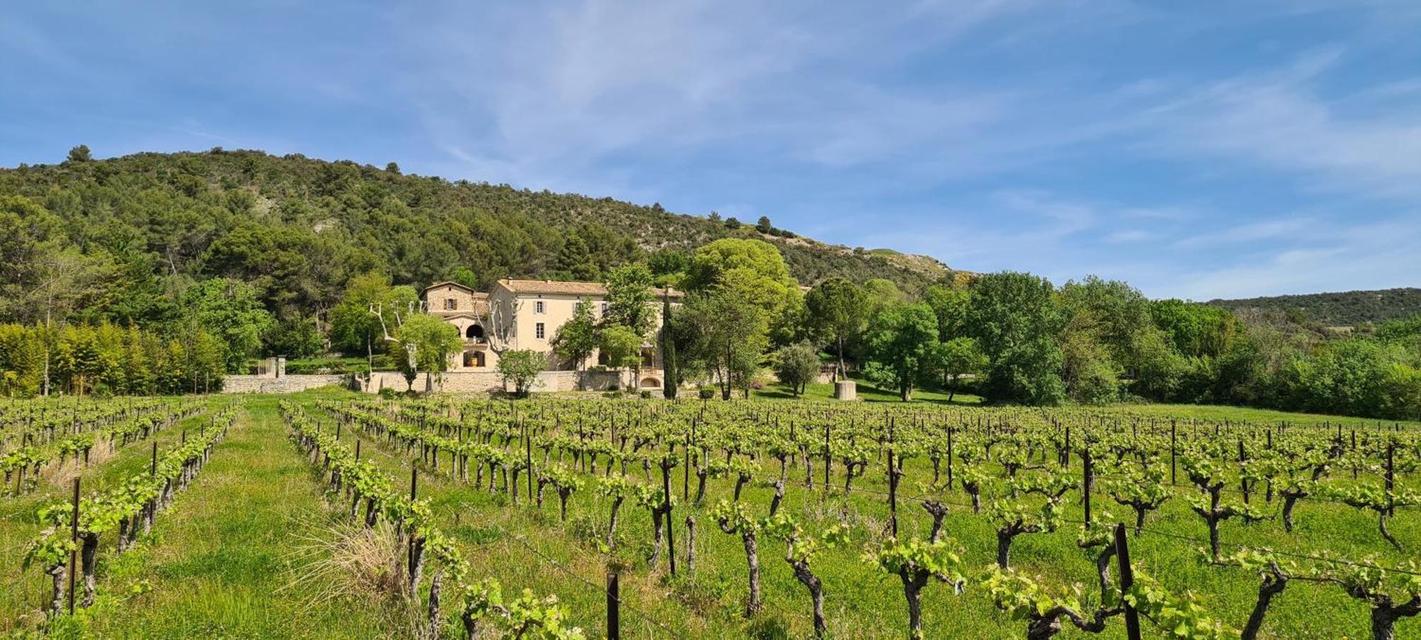 La Bastide De Peyremale, Gites En Cevennes, Piscine, Tennis Bagard Exterior photo